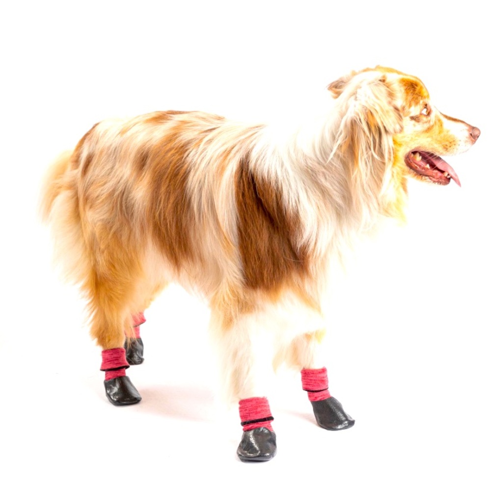 New PMP protect me for pets. Size medium. Waterproof outdoor socks for dogs